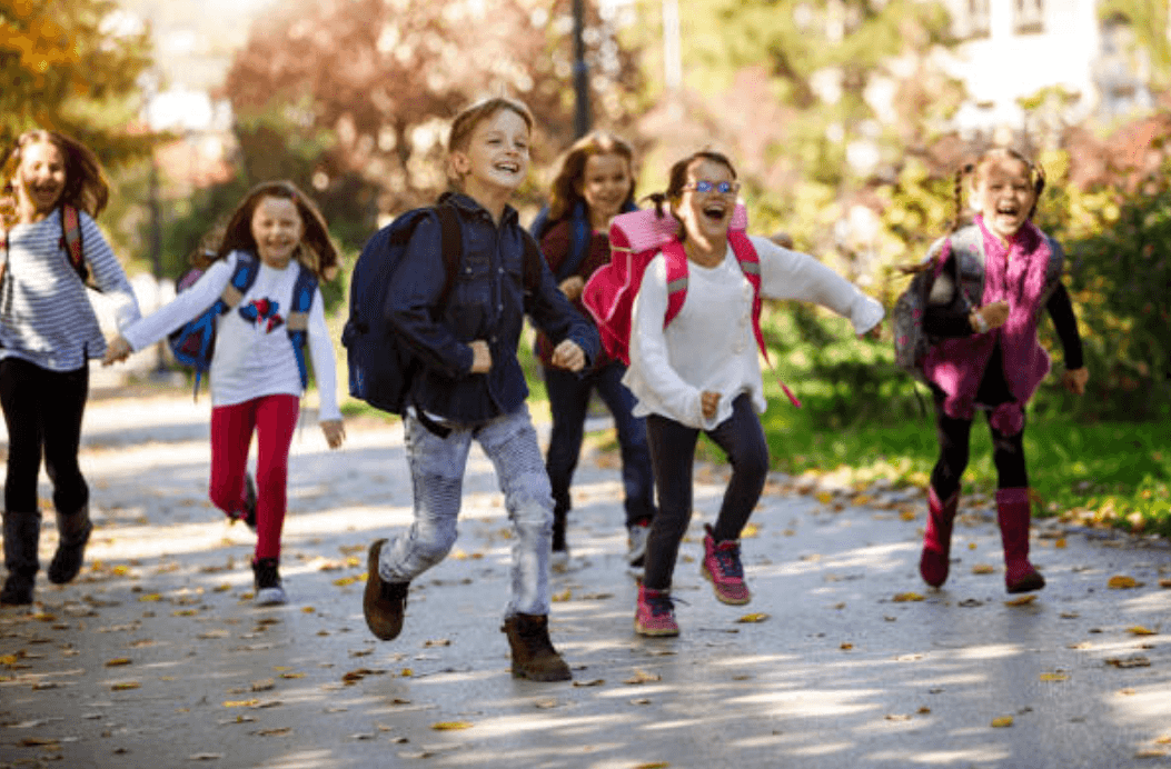 Para servicio de socialización